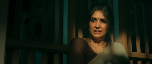 Antony 2023 1080p 10bit AMZN WEBRip Hindi AAC 2.0 + Malayalam 5.1 ESub ~TheAvi LSSJBroly 027